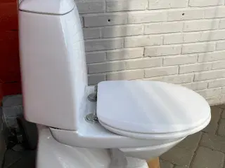 IFO” Toilet