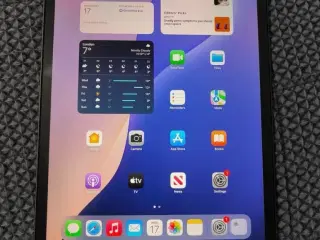 Apple iPad Pro 2. Gen. 128GB