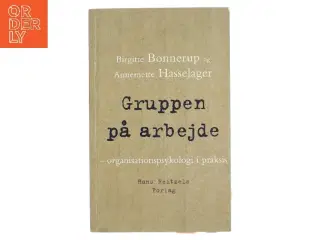 Gruppen på arbejde : organisationspsykologi i praksis (Bog)
