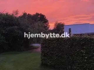 Hjembytte - Korpsvænget