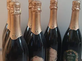 7 flasker mousserende vin/ champagne 