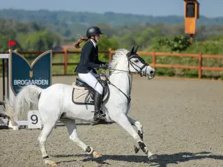 Spring pony med kæmpe talent 