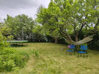 Havehjælp