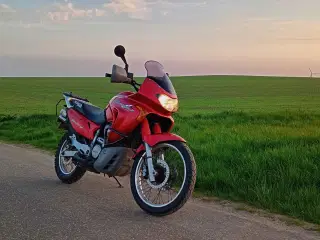Honda Transalp XL 650 V