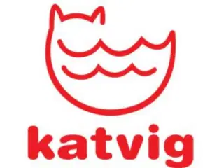 Katvig sæt