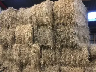 Halm Minibig længde 2,40 m