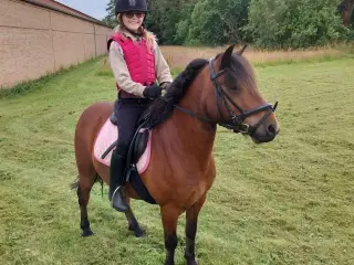 3' pony vallak