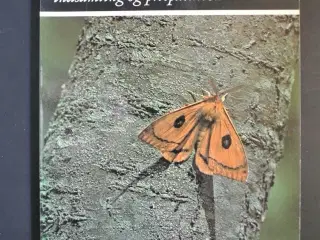 sommerfugle. indsamling og præparation, Af torben 