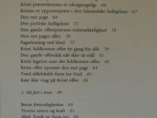 hebræerbrevet fortolket, af søren ruager