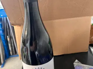 Barolo 2019