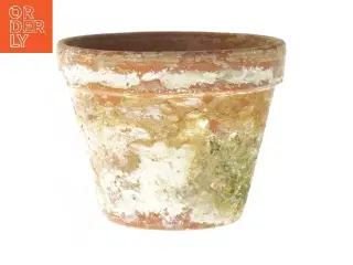 Lille terracotta urtepotte (str. 11x8,5 cm)