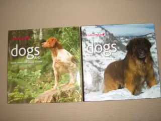 Dogs hundebøger