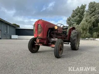 Veterantraktor Porsche 219 Standart star