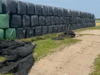 minibig wrap