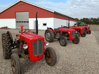 massey ferguson 35, 3 cyl Diesel