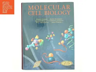 Molecular cell biology (Bog)