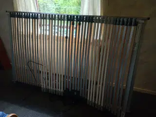 Elevationsseng 