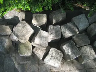 Store brosten sælges