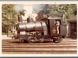 Tog - Vitznau - Schweitz  - Foto