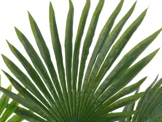 Kunstig palmeplante med potte 70 cm grøn