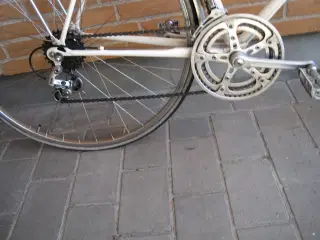 Turcykel. Nishiki 10 gear. Velholdt. 27".