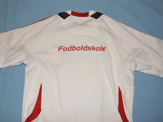 Adidas DBU T-shirt