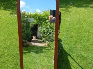 Spejl