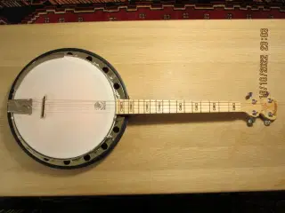 Tenor Banjo, Deering Goodtime Two 17 Fret