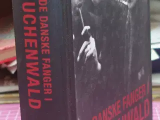 Krig; De danske fanger i Buchenwald