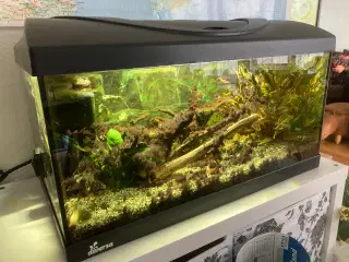 54 liters akvarium
