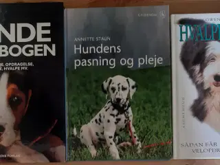 Hundebøger 3 stk. samlet.