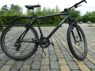 SCO herrecykel
