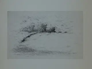 En Landsbydegns Dagbog