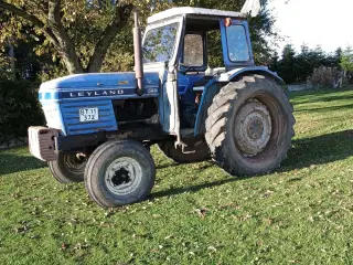 Leyland 384