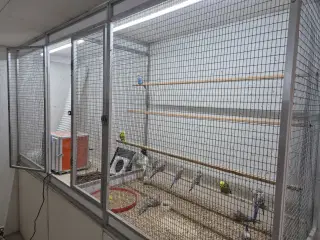 front til indendørs volierer