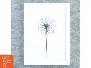 Billedramme fra Kjærulff (str. 33 x 24 cm med ramme kant)