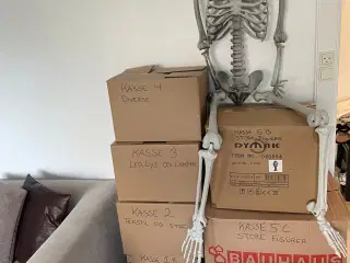 UDLEJES - DEN STORE HALLOWEENPAKKE