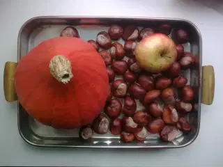 Kobberfad m tin. OVNfad kastanjer eller deko kogle