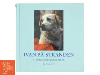 Ivan på stranden af Anne Linnet, Yanne Bendix (Bog)