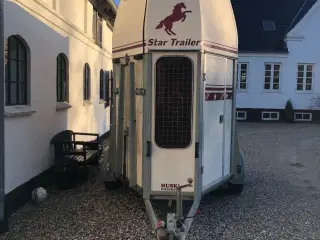 Star safir heste trailer