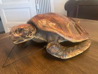 udstoppet skildpadde 