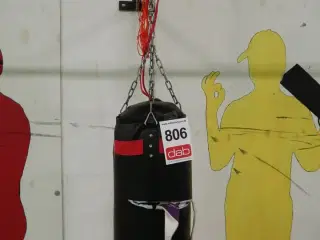 Boksepude med handsker