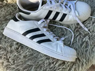 Adidas superstar