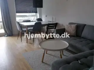Hjembytte - Rylemosen