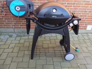 Weber Q 3000