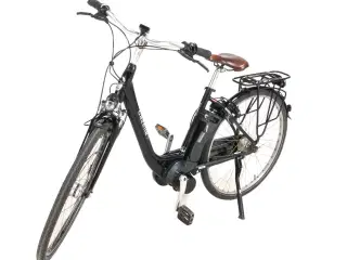 Gazelle Arroyo