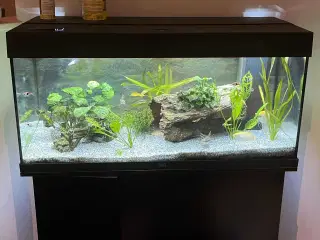 Juwel akvarium Rio LED, 180 L