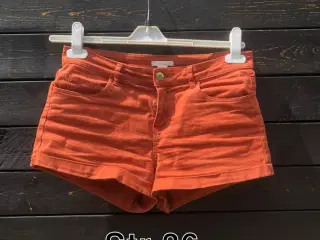 Shorts str 36