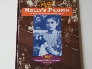Focus on Molly's pilgrim : a new life in a new lan