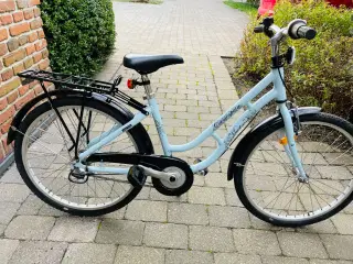  24” Mustang pigecykel